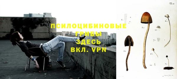 a pvp Абинск