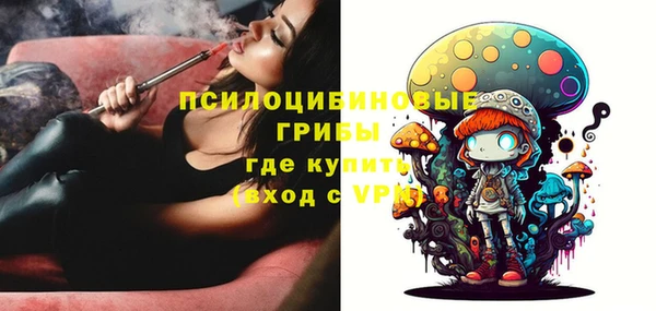 эйфоретик Сатка