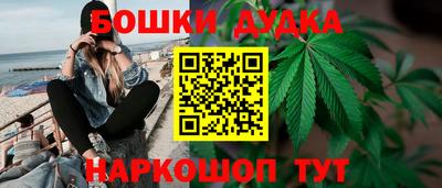 гашик Камышлов