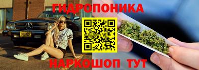гашик Камышлов