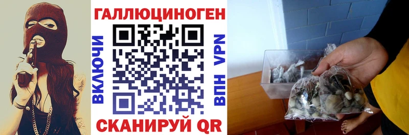 MEGA   Красный Сулин  Псилоцибиновые грибы ЛСД  где купить наркотик 