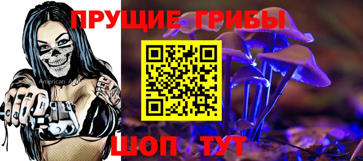 Псилоцибиновые грибы мицелий Красный Сулин
